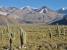 Parc national los Cardones entre Cachi et Salta